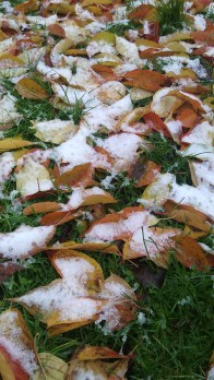 Changement de saison et Reiki_Exploring