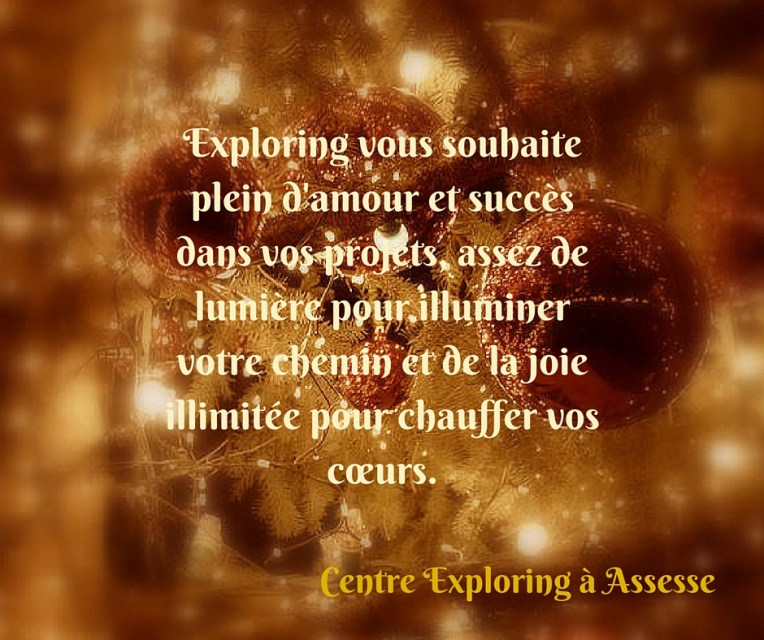 Bonne fin d'année 2015