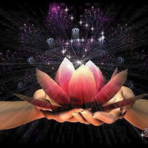 fleur de lotus pouvoir en toi